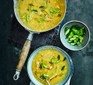 Chicken soup with spring onions in pan